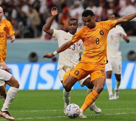 Netherlands Shocked Qatar with Two Goals and Grabbed the First Qualifying Spot in Group A